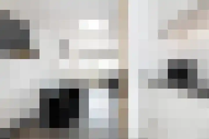 Kerkweg 67 Wezep thumbnail 38