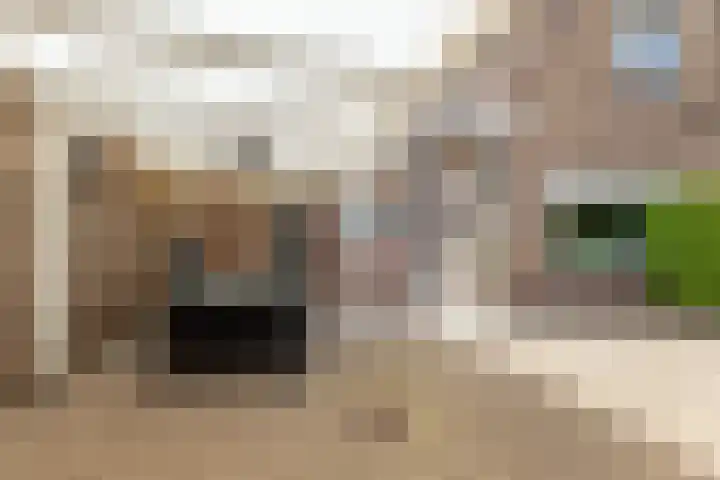 Kerkweg 67 Wezep thumbnail 42
