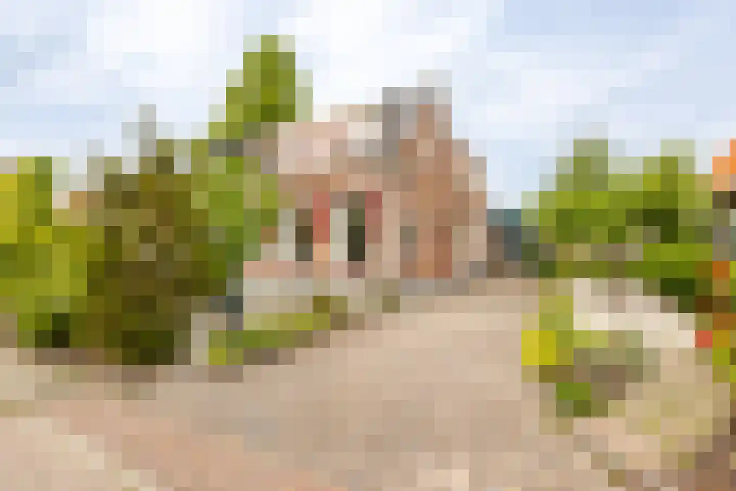 Kerkweg 68 Hardinxveld-Giessendam thumbnail 20