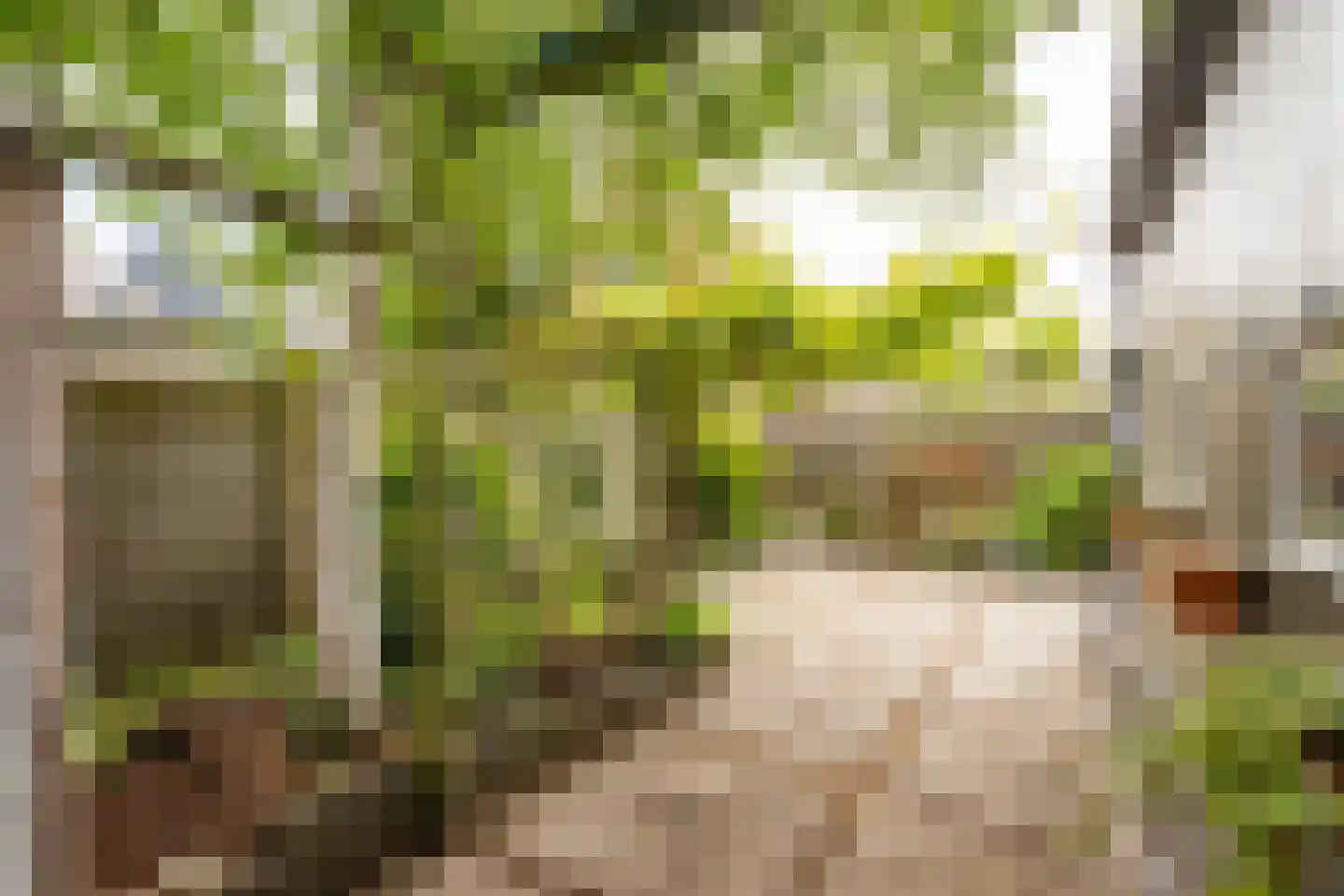 Kerkweg 68 Hardinxveld-Giessendam thumbnail 22