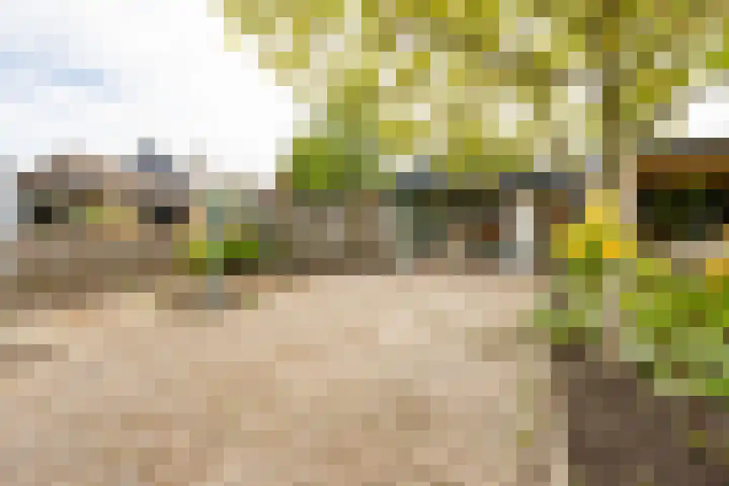 Kerkweg 68 Hardinxveld-Giessendam thumbnail 29