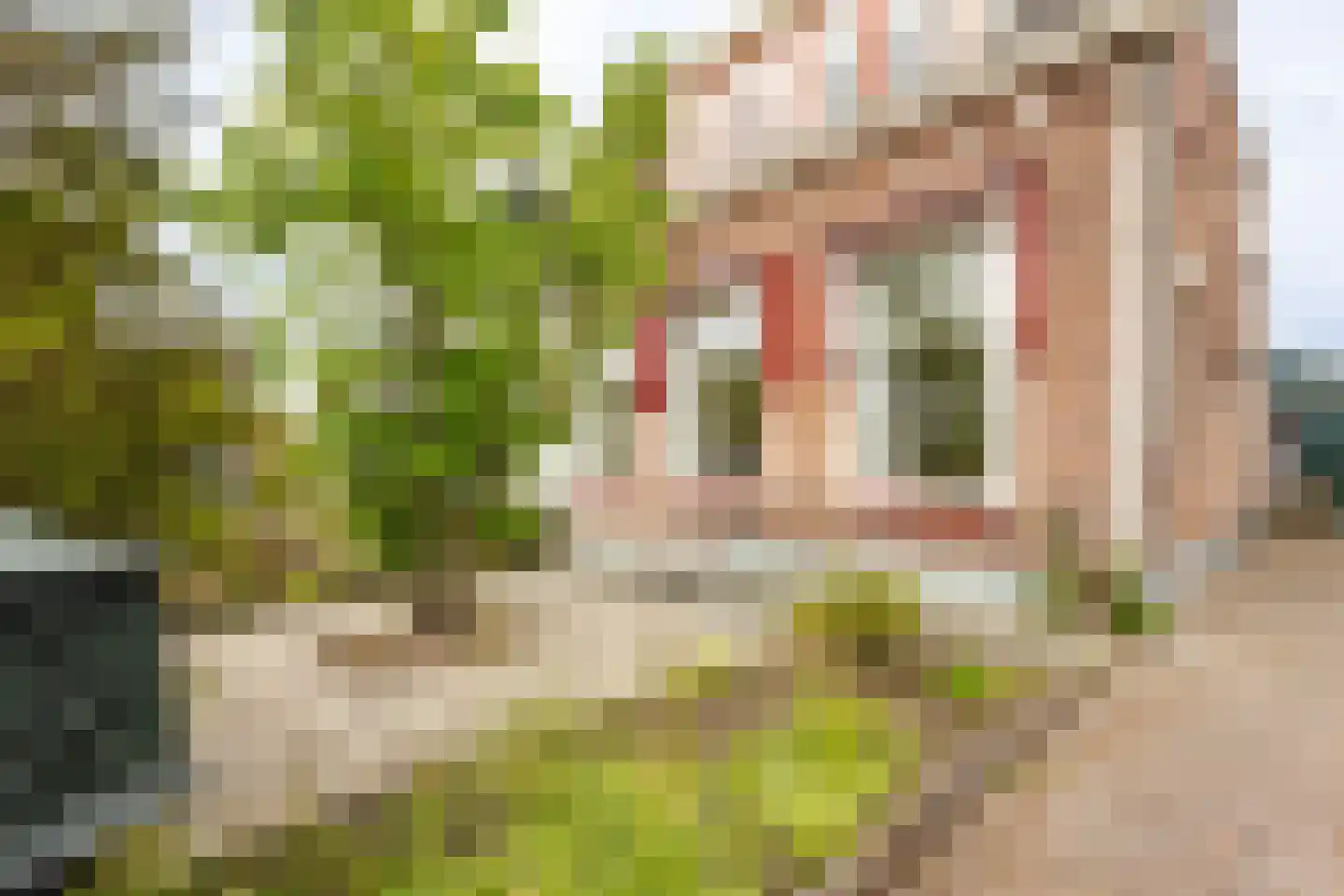 Kerkweg 68 Hardinxveld-Giessendam thumbnail 34