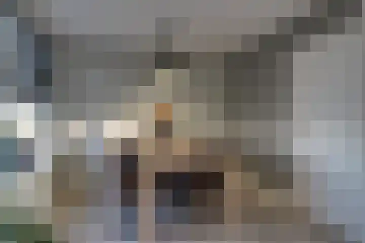 Kerkweg 69 Venhuizen thumbnail 17
