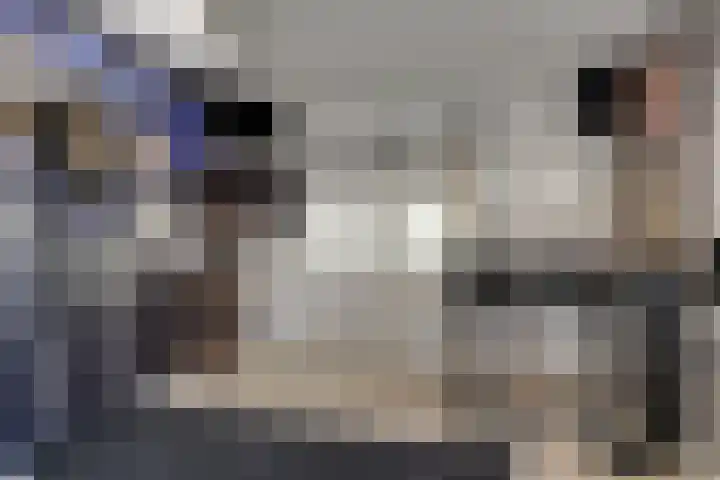 Kerkweg 69 Venhuizen thumbnail 21