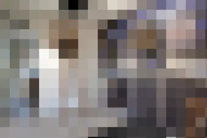 Kerkweg 69 Venhuizen thumbnail 23