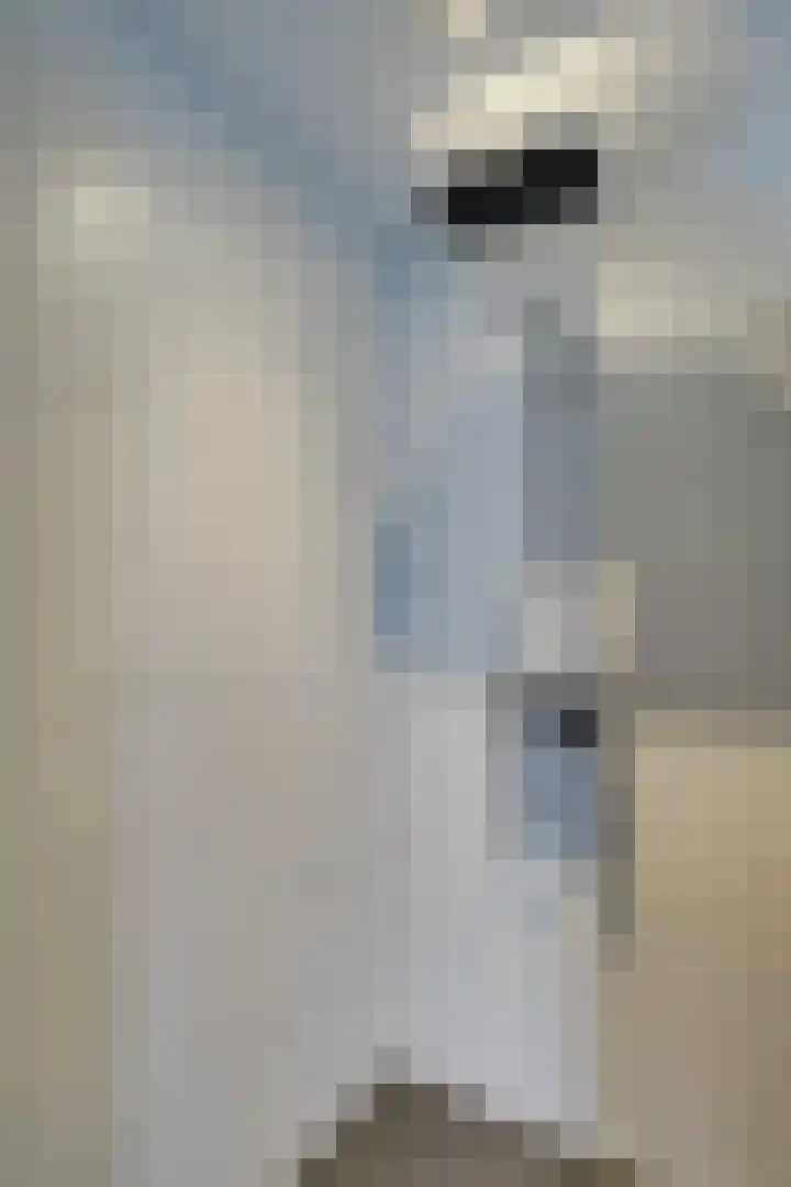 Kerkweg 69 Venhuizen thumbnail 43