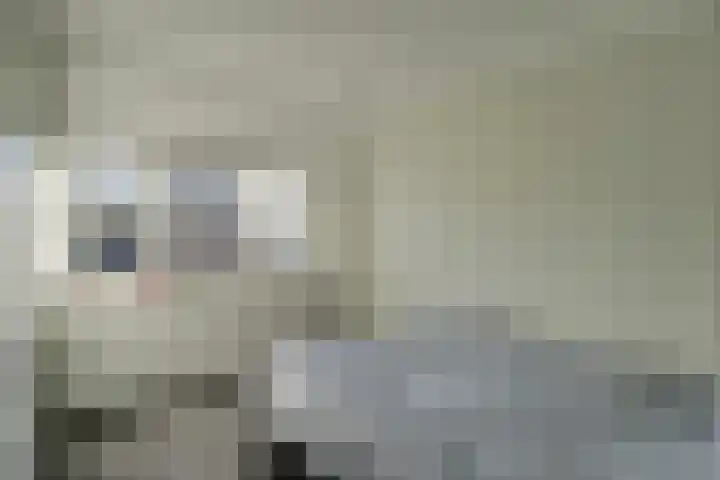 Kerkweg 69 Venhuizen thumbnail 45