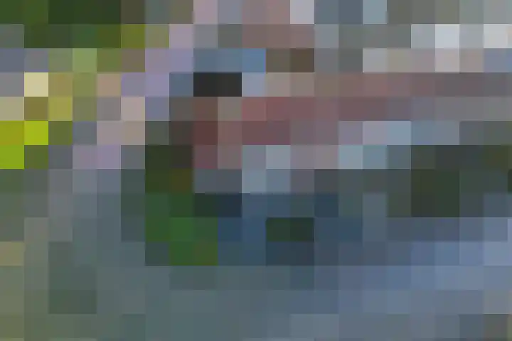 Kerkweg 69 Venhuizen thumbnail 48