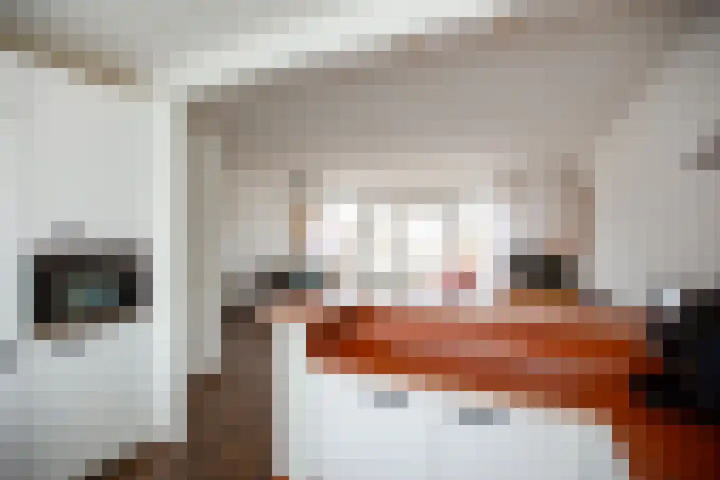 Kerkweg 7 a Driebruggen thumbnail 15