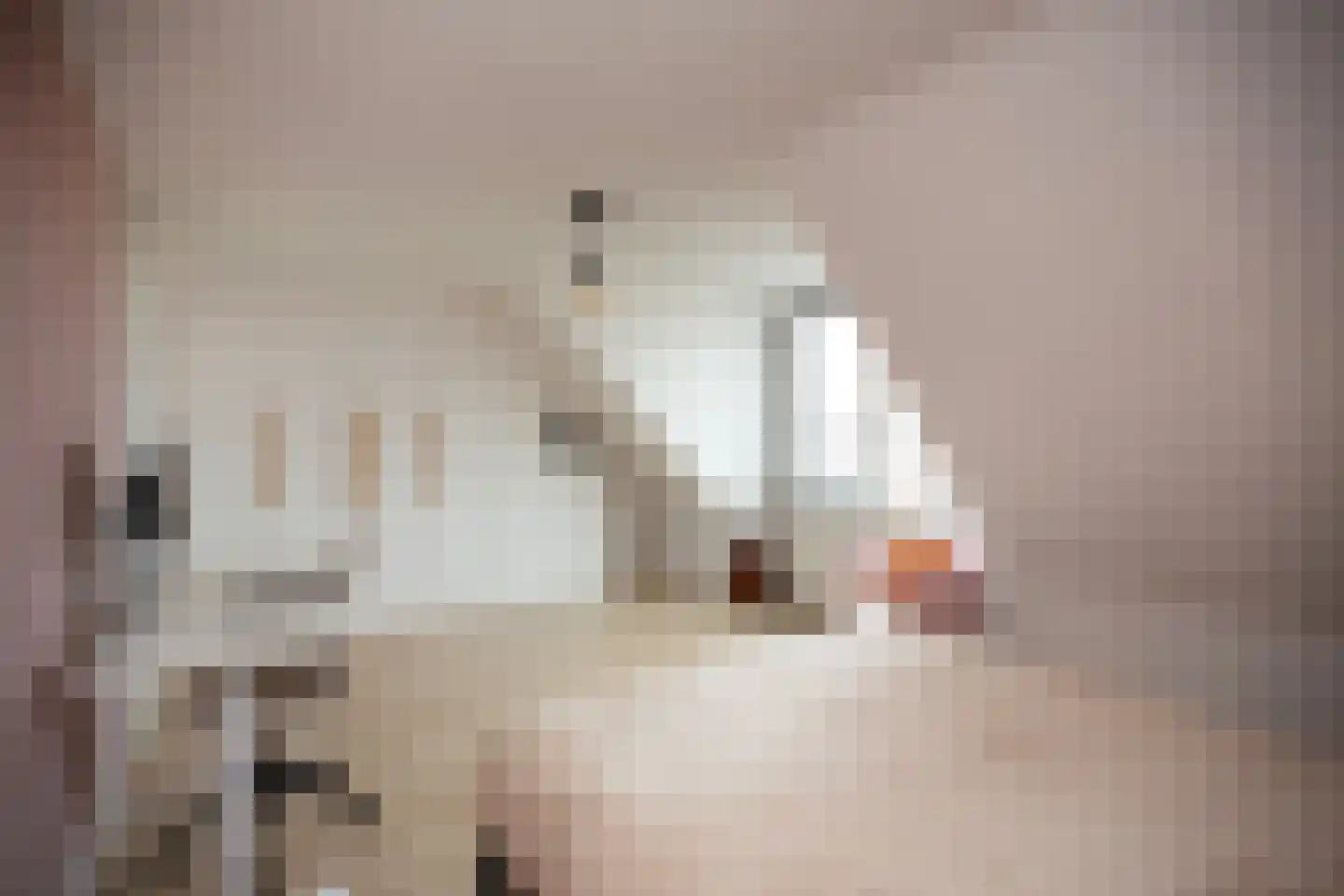 Kerkweg 7 a Driebruggen thumbnail 24
