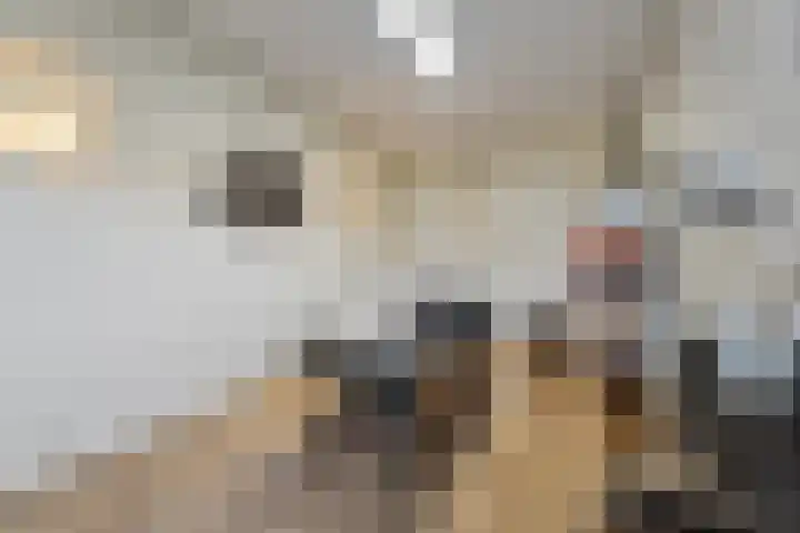 Kerkweg 7 b Ruinerwold thumbnail 11