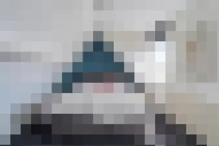 Kerkweg 7 b Ruinerwold thumbnail 28