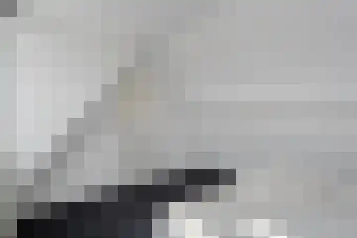Kerkweg 7 b Ruinerwold thumbnail 29