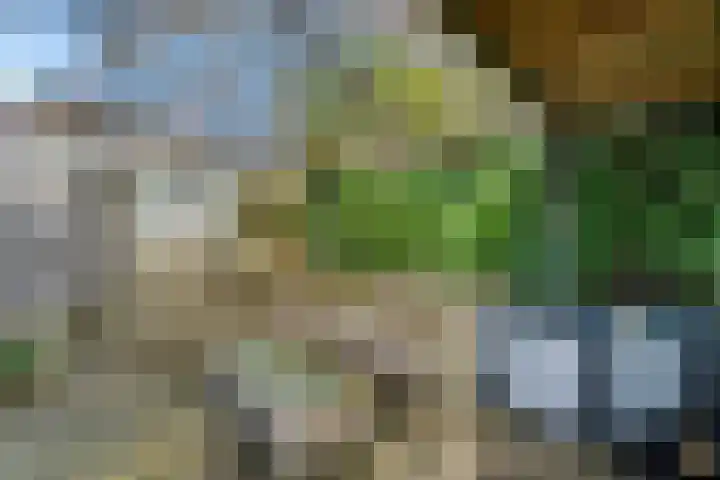 Kerkweg 7 b Ruinerwold thumbnail 31