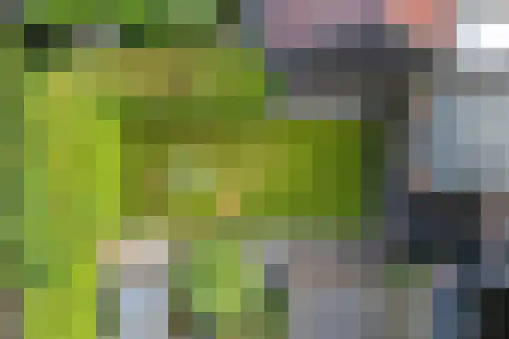 Kerkweg 7 b Ruinerwold thumbnail 34