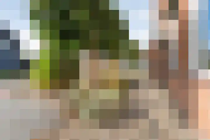Kerkweg 7 b Ruinerwold thumbnail 38