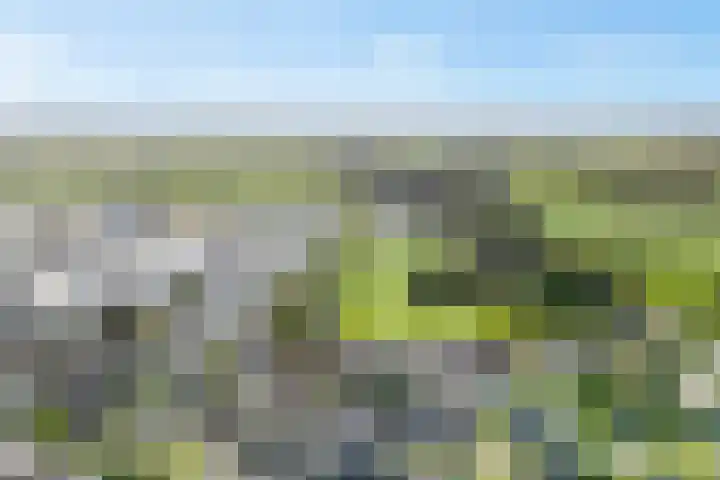 Kerkweg 7 b Ruinerwold thumbnail 40