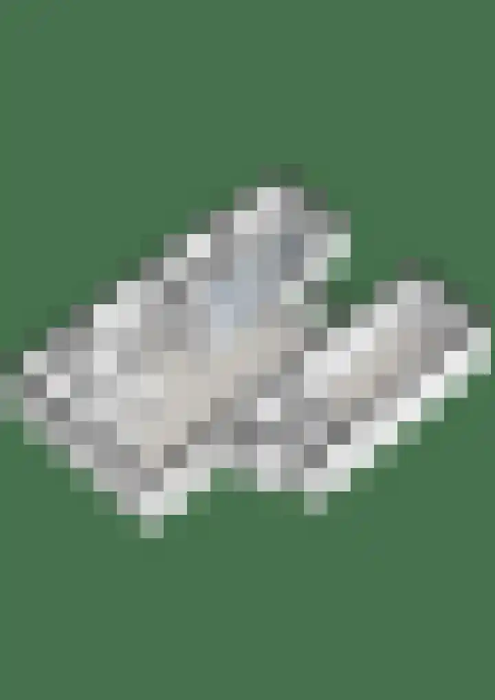 Kerkweg 7 b Ruinerwold thumbnail 42