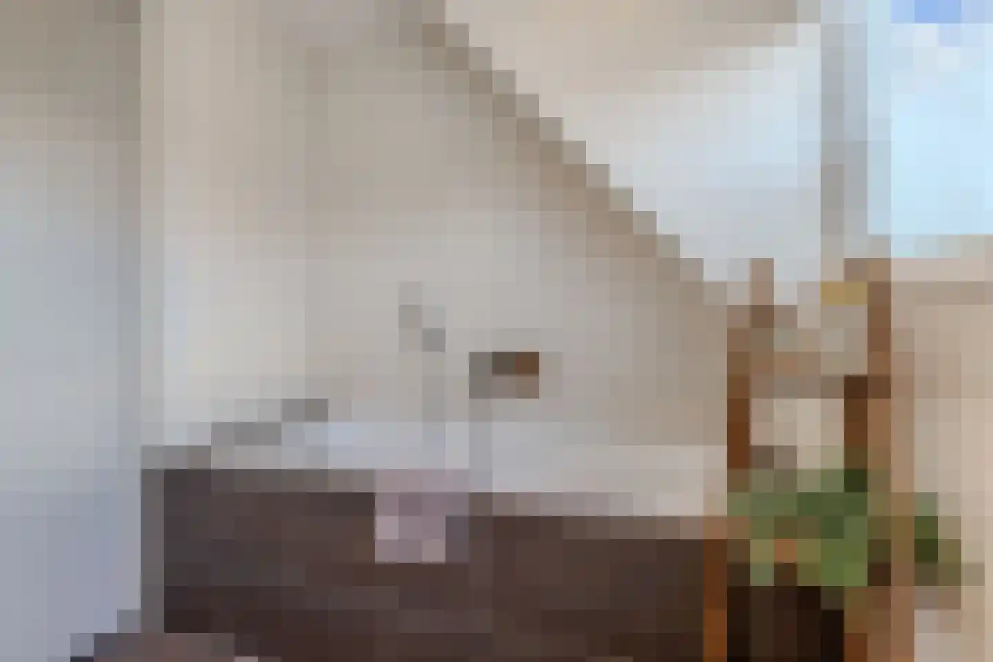 Kerkweg 7 Boijl thumbnail 40