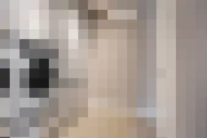 Kerkweg 7 Heesch thumbnail 12
