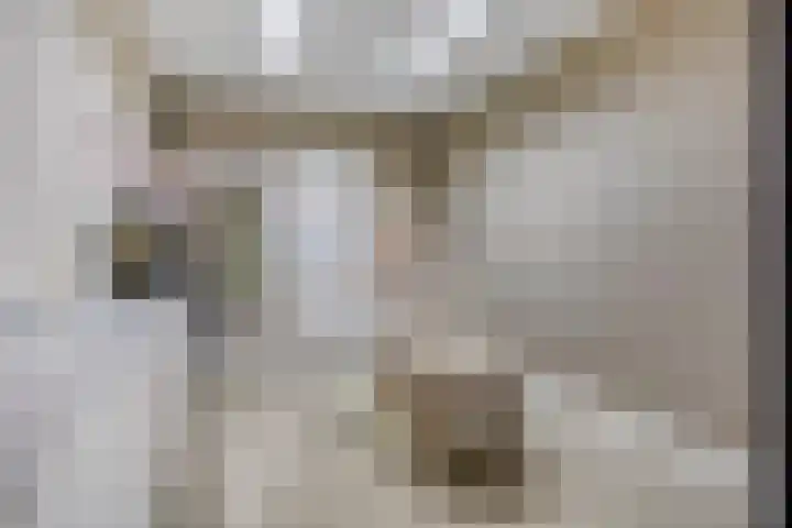 Kerkweg 7 Heesch thumbnail 13