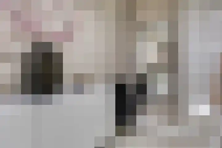 Kerkweg 7 Heesch thumbnail 14