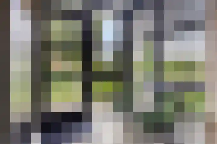 Kerkweg 7 Heesch thumbnail 16
