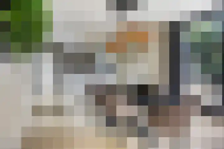 Kerkweg 7 Heesch thumbnail 17
