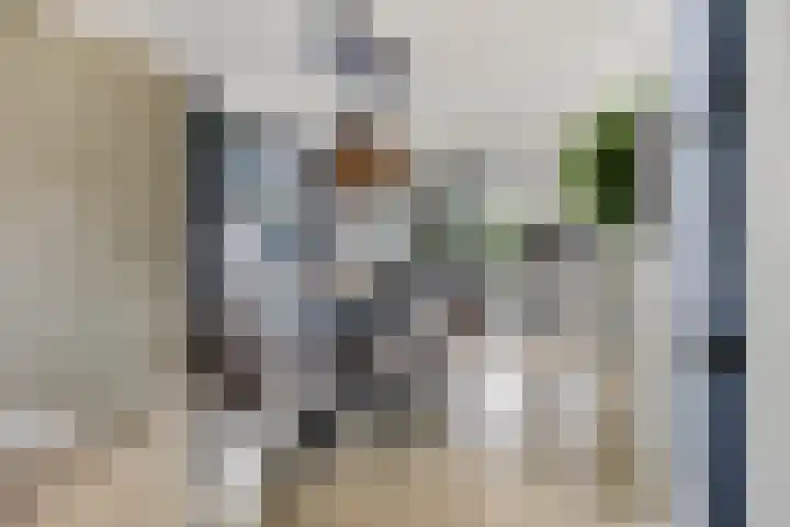 Kerkweg 7 Heesch thumbnail 19
