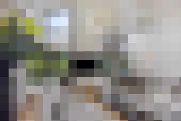 Kerkweg 7 Heesch thumbnail 24