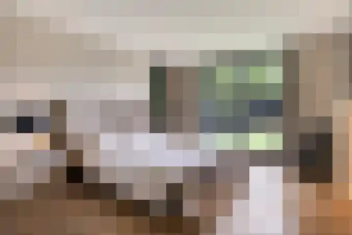Kerkweg 7 Heesch thumbnail 28