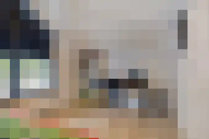 Kerkweg 7 Heesch thumbnail 41