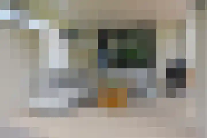Kerkweg 7 Heesch thumbnail 48