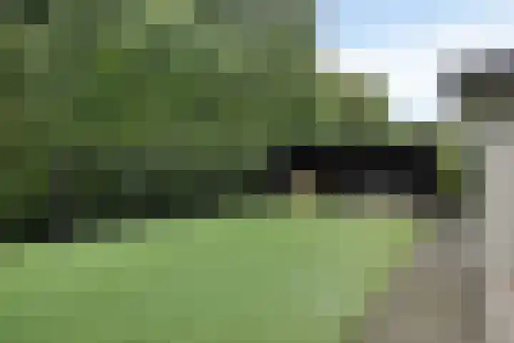 Kerkweg 7 Heesch thumbnail 51