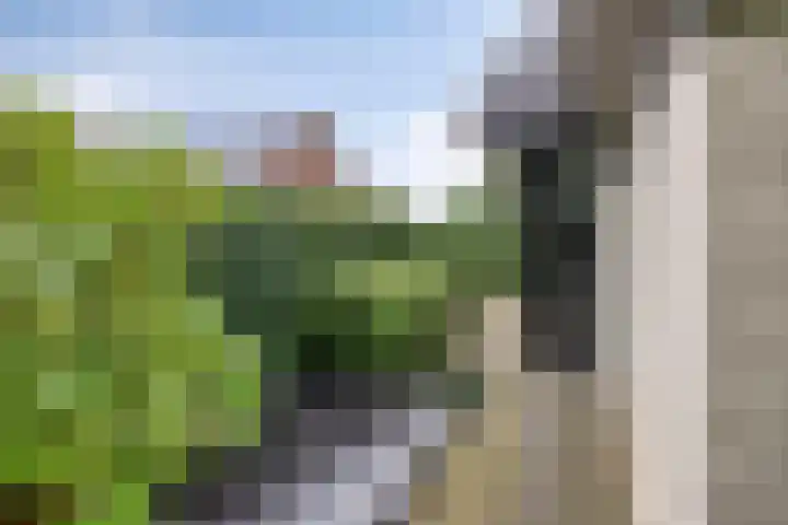 Kerkweg 7 Heesch thumbnail 57