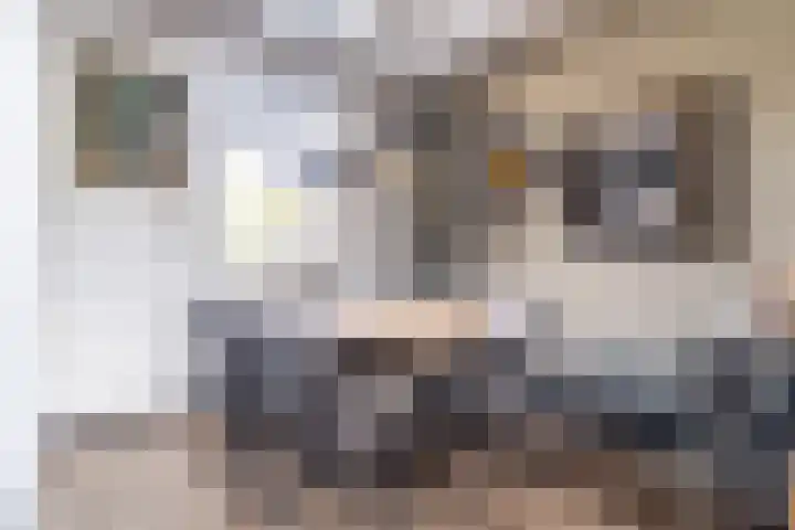 Kerkweg 7 Woubrugge thumbnail 12