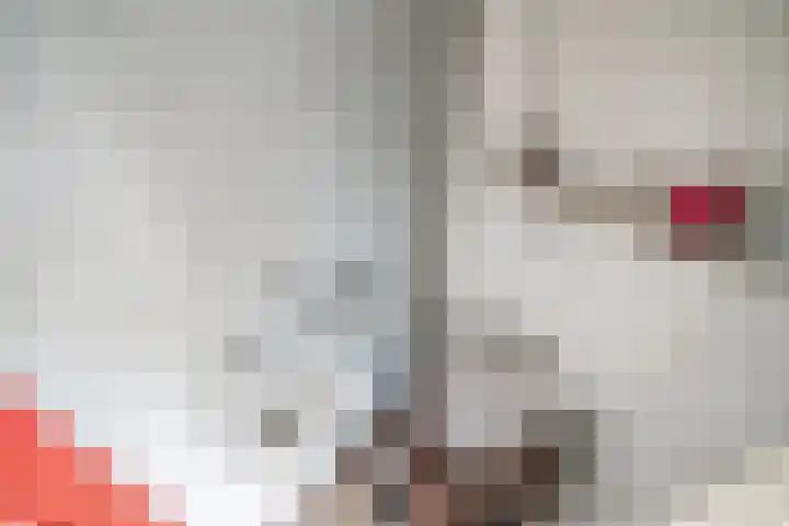 Kerkweg 7 Woubrugge thumbnail 20
