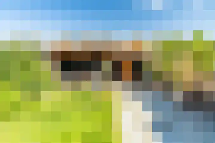 Kerkweg 7 Woubrugge thumbnail 24