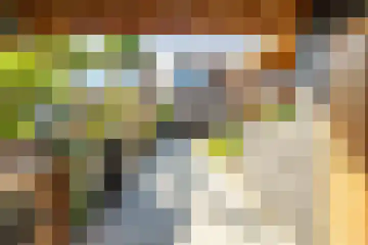 Kerkweg 7 Woubrugge thumbnail 26