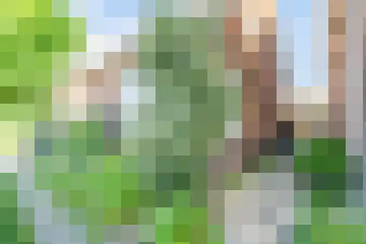 Kerkweg 7 Woubrugge thumbnail 32