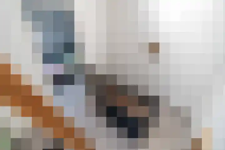 Kerkweg 7 Woubrugge thumbnail 35