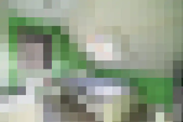 Kerkweg 7 Woubrugge thumbnail 38