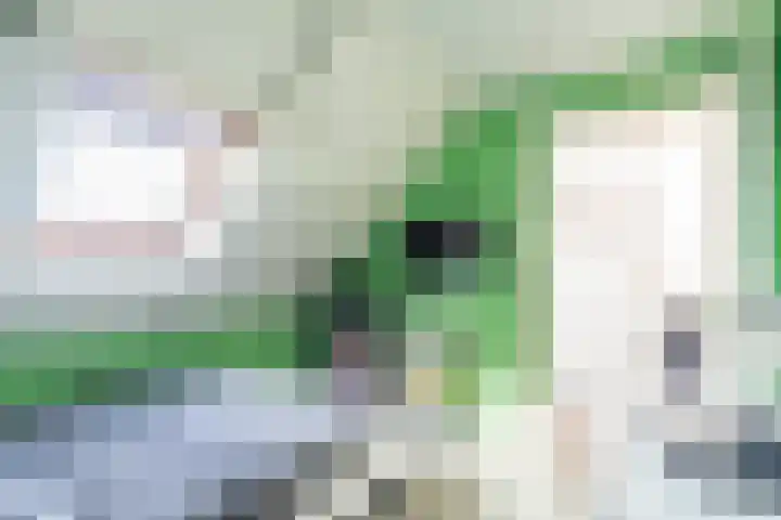 Kerkweg 7 Woubrugge thumbnail 39