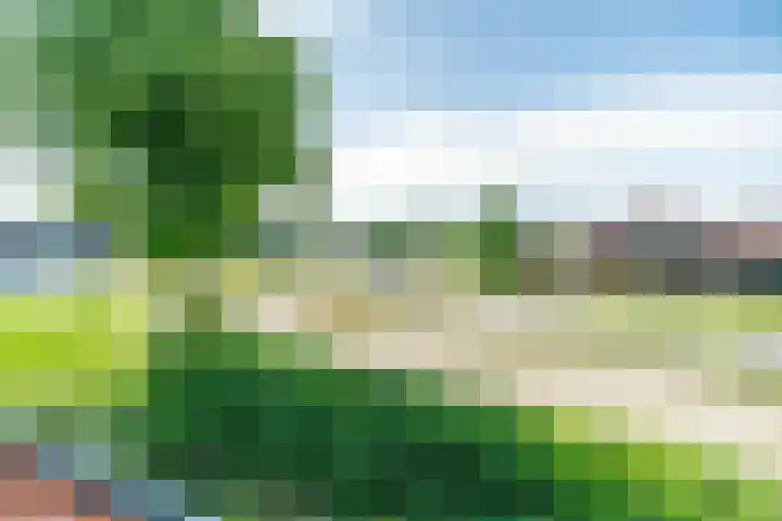 Kerkweg 7 Woubrugge thumbnail 41