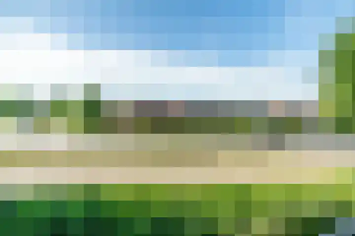 Kerkweg 7 Woubrugge thumbnail 42