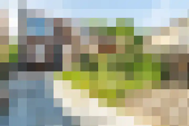 Kerkweg 7 Woubrugge thumbnail 5