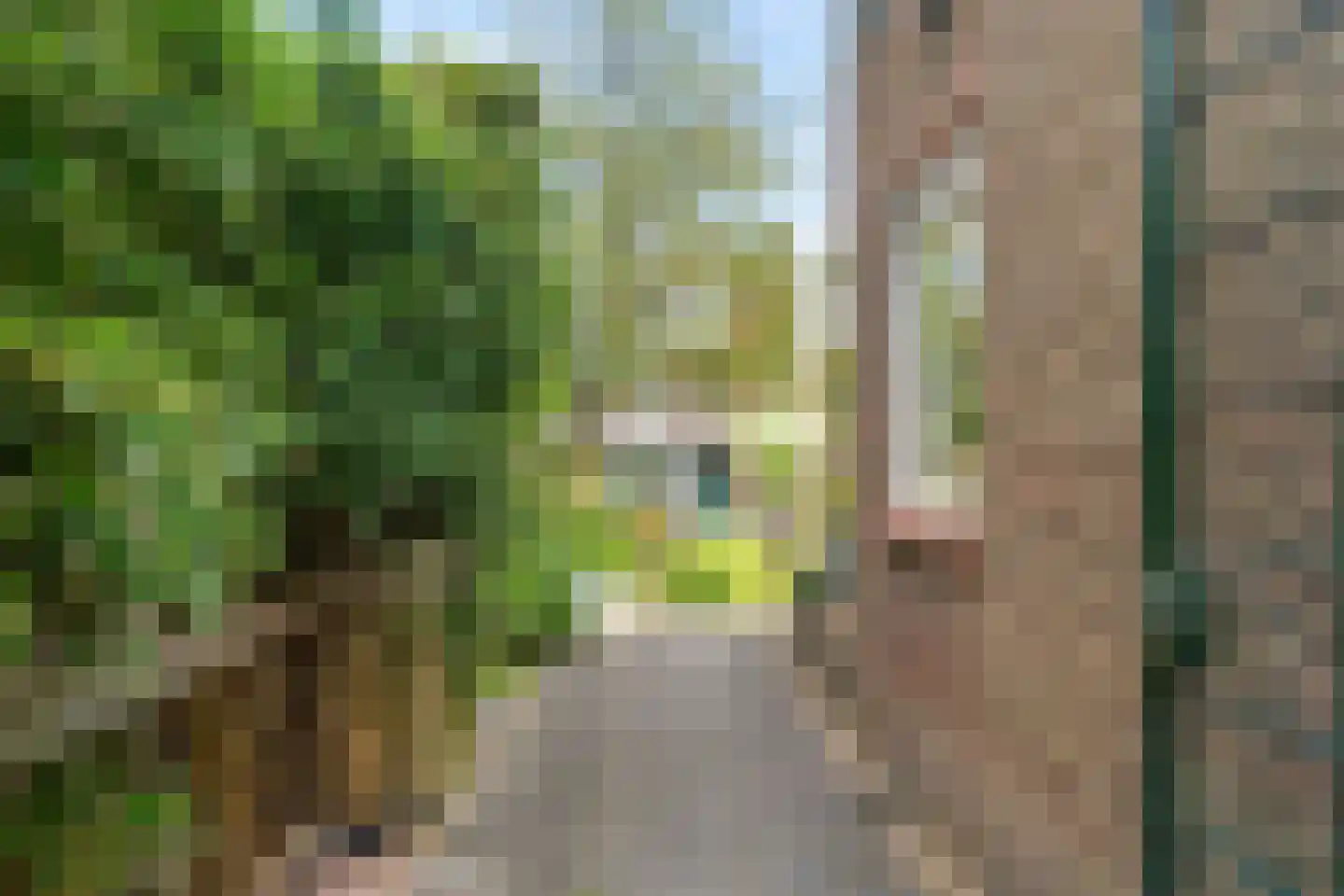 Kerkweg 71 Pijnacker thumbnail 26