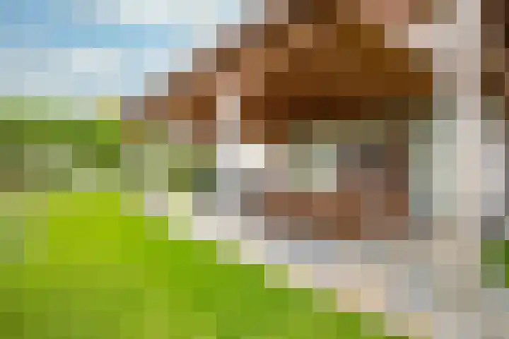 Kerkweg 74 Maria Hoop thumbnail 30