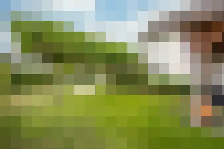 Kerkweg 74 Maria Hoop thumbnail 31
