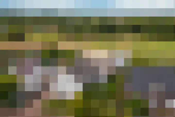 Kerkweg 74 Maria Hoop thumbnail 43